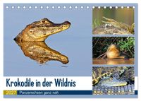 Krokodile in der Wildnis (Tischkalender 2027 DIN A5 quer), CALVENDO Monatskalender