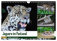 Jaguare im Pantanal (Wandkalender 2027 DIN A4 quer), CALVENDO Monatskalender