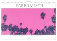 Farbrausch - die Welt in Pastell (Wandkalender 2027 DIN A4 quer), CALVENDO Monatskalender