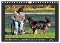 Der Hovawart... Dein Freund fürs Leben! (Wandkalender 2027 DIN A4 quer), CALVENDO Monatskalender