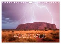 Wunder Natur II (Wandkalender 2027 DIN A4 quer), CALVENDO Monatskalender