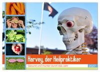 Harvey, der Heilpraktiker (Wandkalender 2027 DIN A2 quer), CALVENDO Monatskalender
