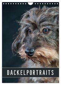 Dackelportraits (Wandkalender 2027 DIN A4 hoch), CALVENDO Monatskalender