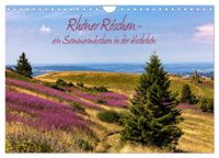 Rhöner Röschen - ein Sommermärchen in der Hochrhön (Wandkalender 2027 DIN A4 quer), CALVENDO Monatskalender
