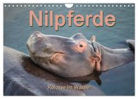 Nilpferde, Kolosse im Wasser (Wandkalender 2027 DIN A4 quer), CALVENDO Monatskalender
