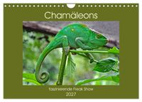 Chamäleons - faszinierende Freak Show (Wandkalender 2027 DIN A4 quer), CALVENDO Monatskalender