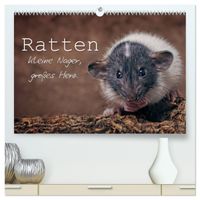 Ratten. Kleine Nager, großes Herz. (hochwertiger Premium Wandkalender 2027 DIN A2 quer), Kunstdruck in Hochglanz