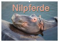 Nilpferde, Kolosse im Wasser (Wandkalender 2027 DIN A2 quer), CALVENDO Monatskalender
