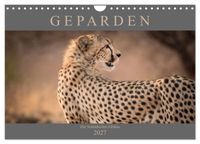 Geparden - Die Schönheiten Afrikas (Wandkalender 2027 DIN A4 quer), CALVENDO Monatskalender