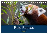 Rote Pandas - geschickte Kletterer (Tischkalender 2027 DIN A5 quer), CALVENDO Monatskalender