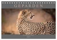 Geparden - Die Schönheiten Afrikas (Tischkalender 2027 DIN A5 quer), CALVENDO Monatskalender