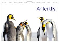 Antarktis - Viaje (Wandkalender 2027 DIN A4 quer), CALVENDO Monatskalender