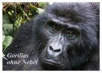 Gorillas ohne Nebel (Wandkalender 2027 DIN A3 quer), CALVENDO Monatskalender