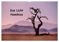 Das Licht Namibias (Wandkalender 2027 DIN A2 quer), CALVENDO Monatskalender