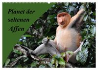 Planet der seltenen Affen (Wandkalender 2027 DIN A2 quer), CALVENDO Monatskalender