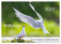 Wattvögel an der Friesischen IJsselmeerküste (Wandkalender 2027 DIN A2 quer), CALVENDO Monatskalender