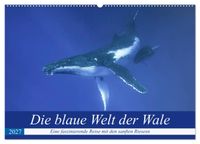 Die blaue Welt der Wale (Wandkalender 2027 DIN A2 quer), CALVENDO Monatskalender