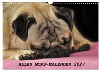 Alles Mops-Kalender 2027 (Wandkalender 2027 DIN A3 quer), CALVENDO Monatskalender