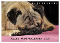 Alles Mops-Kalender 2027 (Tischkalender 2027 DIN A5 quer), CALVENDO Monatskalender