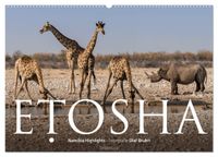ETOSHA – Namibia Highlights (Wandkalender 2027 DIN A2 quer), CALVENDO Monatskalender