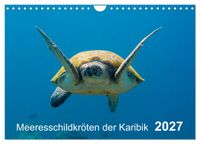 Meeresschildkröten der Karibik (Wandkalender 2027 DIN A4 quer), CALVENDO Monatskalender