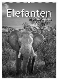 Elefanten in schwarz-weiss (Wandkalender 2027 DIN A2 hoch), CALVENDO Monatskalender