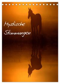 Mystische Stimmungen (Tischkalender 2027 DIN A5 hoch), CALVENDO Monatskalender