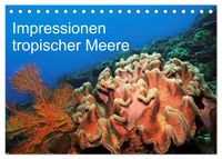 Impressionen tropischer Meere (Tischkalender 2027 DIN A5 quer), CALVENDO Monatskalender