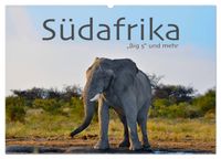 Südafrika - Big 5 und mehr (Wandkalender 2027 DIN A2 quer), CALVENDO Monatskalender