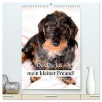 Der Dackel - mein kleiner Freund (hochwertiger Premium Wandkalender 2027 DIN A2 hoch), Kunstdruck in Hochglanz