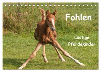 Fohlen - Lustige Pferdekinder (Tischkalender 2027 DIN A5 quer), CALVENDO Monatskalender