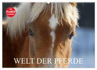 Welt der Pferde (Wandkalender 2027 DIN A2 quer), CALVENDO Monatskalender