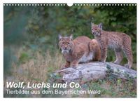 Wolf, Luchs und Co. - Tierbilder aus dem Bayerischen Wald (Wandkalender 2027 DIN A3 quer), CALVENDO Monatskalender