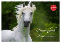 Traumpferd Lipizzaner (Wandkalender 2027 DIN A2 quer), CALVENDO Monatskalender