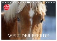 Welt der Pferde (Wandkalender 2027 DIN A4 quer), CALVENDO Monatskalender