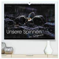 Unsere Spinnen - im Gespräch (hochwertiger Premium Wandkalender 2027 DIN A2 quer), Kunstdruck in Hochglanz