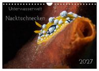 Unterwasserwelt Nacktschnecken (Wandkalender 2027 DIN A4 quer), CALVENDO Monatskalender