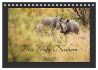 Das Weiße Nashorn (Tischkalender 2027 DIN A5 quer), CALVENDO Monatskalender
