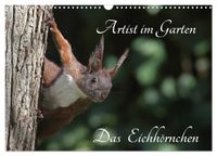 Artist im Garten. Das Eichhörnchen (Wandkalender 2027 DIN A3 quer), CALVENDO Monatskalender