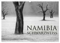 Namibia schwarzweiß (Wandkalender 2027 DIN A2 quer), CALVENDO Monatskalender