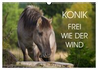 Konik - Frei geboren (Wandkalender 2027 DIN A3 quer), CALVENDO Monatskalender