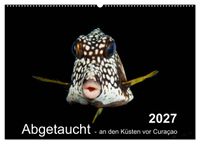 Abgetaucht - an den Küsten vor Curaçao (Wandkalender 2027 DIN A2 quer), CALVENDO Monatskalender