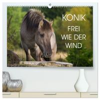 Konik - Frei geboren (hochwertiger Premium Wandkalender 2027 DIN A2 quer), Kunstdruck in Hochglanz