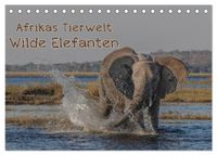 Afrikas Tierwelt - Wilde Elefanten (Tischkalender 2027 DIN A5 quer), CALVENDO Monatskalender