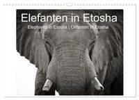 Elefanten in Etosha (Wandkalender 2027 DIN A3 quer), CALVENDO Monatskalender