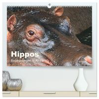 Hippos - Begegnungen in Afrika (hochwertiger Premium Wandkalender 2027 DIN A2 quer), Kunstdruck in Hochglanz