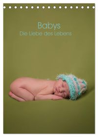 Babys - Die Liebe des Lebens (Tischkalender 2027 DIN A5 hoch), CALVENDO Monatskalender