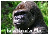 Gorillas - Die sanften Wilden (Wandkalender 2027 DIN A4 quer), CALVENDO Monatskalender