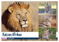Katzen Afrikas (Tischkalender 2027 DIN A5 quer), CALVENDO Monatskalender