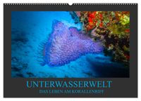 Unterwasserwelt - Das Leben am Korallenriff (Wandkalender 2027 DIN A2 quer), CALVENDO Monatskalender